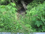 Culvert Crossing at Grechell'S Corner, Vassalboro, Maine