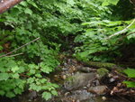 Culvert Crossing at Greenwood Brook Rd, Industry, Maine