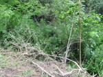 Culvert Crossing at Gretchell Corner, Vassalboro, Maine