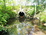 Culvert Crossing at Hanson Rd, Scarborough, Maine