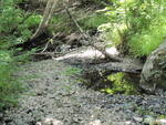 Culvert Crossing at Holley Road, Farmington, Maine