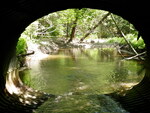 Culvert Crossing at Hollis Rd, Dayton, Maine