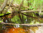 Culvert Crossing at Horne Pond Rd, Limington, Maine