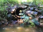Culvert Crossing at Hosmer Pond Rd, Camden, Maine