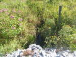 Culvert Crossing at Hunter Rd, Freeport, Maine