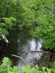 Culvert Crossing at Lakeview Rd, Milo, Maine