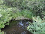 Culvert Crossing at Mason Rd, Farmington, Maine