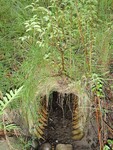 Culvert Crossing at Mile Hill Road, New Sharon, Maine