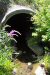 Culvert Crossing at Millvale Road, Bucksport, Maine