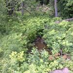 Culvert Crossing at Morgan Hill Road, Nobleboro, Maine