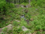 Culvert Crossing at New Sunday River Road, Riley Twp, Maine