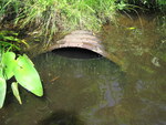 Culvert Crossing at North Belfast Rd, Augusta, Maine