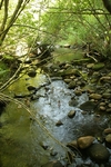 Culvert Crossing at Old Augusta Rd, Waldoboro, Maine