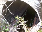Culvert Crossing at Old County Road, Stockton Springs, Maine