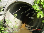Culvert Crossing at Old Stage, Woolwich, Maine