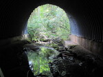 Culvert Crossing at Old Winthrop Rd, Wayne, Maine