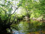 Culvert Crossing at Pond Rd, Benedicta Twp, Maine