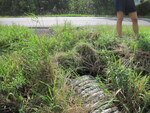 Culvert Crossing at Prairie Rd, Unity, Maine