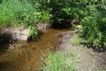 Culvert Crossing at Puddledock Road, Charleston, Maine