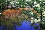 Culvert Crossing at Puddledock Road, Charleston, Maine
