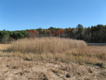 Culvert Crossing at Railroad, Newcastle, Maine