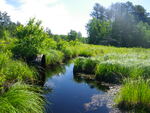 Culvert Crossing at Railroad, Standish, Maine