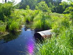 Culvert Crossing at Railroad, Standish, Maine
