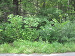 Culvert Crossing at Richards Rd, Benton, Maine