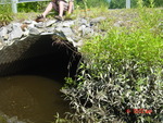 Culvert Crossing at River Rd, Bowdoinham, Maine