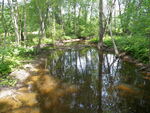 Culvert Crossing at River Rd, Hollis, Maine