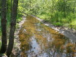 Culvert Crossing at River Rd, Hollis, Maine