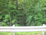 Culvert Crossing at Riverside Ave, Vassalboro, Maine
