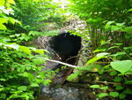 Culvert Crossing at Route 11, Limington, Maine