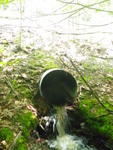 Culvert Crossing at Route 113, Standish, Maine