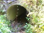 Culvert Crossing at Route 117, Buckfield, Maine