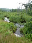 Culvert Crossing at Route 117, Otisfield, Maine