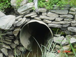 Culvert Crossing at Route 206, Phippsburg, Maine