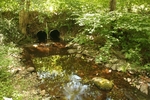 Culvert Crossing at Route 226, Montville, Maine