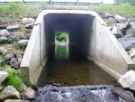 Culvert Crossing at Route 25, Limington, Maine