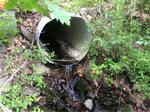 Culvert Crossing at Route 32, Bremen, Maine