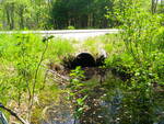 Culvert Crossing at Route 35A, Standish, Maine