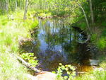 Culvert Crossing at Route 35A, Standish, Maine