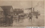 Boat raft of J.M. Vogell