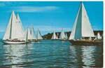 At the start of the Retired Skippers Race