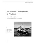 Sustainable Development in Practice : A Case Study Analysis of Coastal Enterprises, Inc.’s Experience by Carla Dickstein, Diane Branscomb, John Piotti, and Elizabeth Sheehan