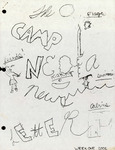 Camp Neofa Newsletter  July 3- 9  Week 1, 2002