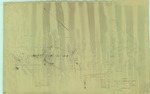 Plan of the Town of Cumberland, Maine, Documenting the Destruction of Trees Infected With Dutch Elm Disease, 1964