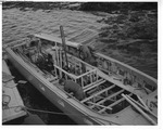 Boat Building 1957 006 by Maine Department of Sea and Shore Fisheries and Henry