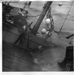 Boat Building 1957 026 by Maine Department of Sea and Shore Fisheries