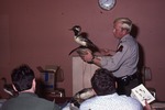 Boothbay Harbor Training Duck Identification